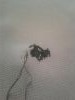 1.thumb.jpg.b4b14c67e00d3cf52080fb819259