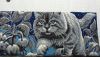 1.thumb.jpg.de2f9a6def937cd18e833cd3a9db