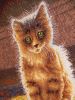 11.thumb.jpg.12bdd0f023735caf890b951be56