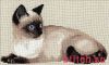 13429.thumb.jpg.6c1f8cf85cc2bb34b1738abd