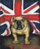 DMC BK1112, British Bulldog