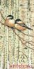 Dimensions 35277, Love Birds
