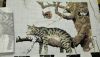2.thumb.jpg.0099e6fa498bb450a56d6fde54c2