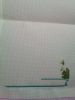 2.thumb.jpg.0a701db7135db63c68090eba962d