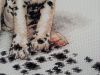 2.thumb.jpg.45ba19788161f9736d6eaf1bd953