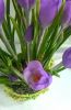 2.thumb.jpg.8a348d04def7ef05b06294e23c5a