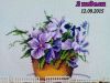 2015-09-12-11-36-36_deco.jpg