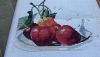 20150820_123653.thumb.jpg.8e0184194fdf36