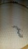 20160128_213229.thumb.jpg.b151910362127d