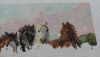 20160206_154449.thumb.jpg.644fd415e0f7a6