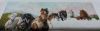 20160206_154521.thumb.jpg.8fde837c242987