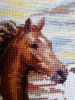 20160229_124455.thumb.JPG.b763bc47eb6d5b
