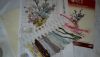 20160301_110344.thumb.jpg.fe9924c2fc4e2a