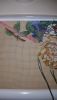 20160301_230441.thumb.jpg.11cdd4419afb18