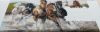 20160302_203824.thumb.jpg.919f07741bc58a