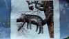 20160307_155403_LLS.thumb.jpg.4477ef0992