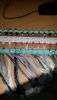 20160310_074619.thumb.jpg.b77da5b5a21bf2