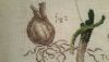20160312_235646.thumb.jpg.bf7a3a983de42e