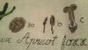 20160312_235658.thumb.jpg.5dffb5add23678