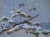 20160314_121557.thumb.JPG.f5b4c2317e74ef