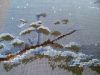 20160314_121603.thumb.JPG.dbca464fef6f4a
