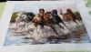 20160319_152848.thumb.jpg.f60aac7bb60f55