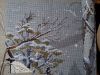 20160319_203500.thumb.JPG.a5c79109dae9ac