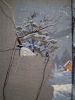 20160319_204421.thumb.JPG.6bf0d71d7a88b4