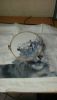 20160322_162807.thumb.jpg.b75c655290703e