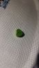 20160327_181304.thumb.jpg.3cfb32751d196c