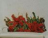 20160328_143726-1.thumb.jpg.4b2888b1ed16