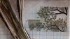 20160329_205420.thumb.jpg.f33c490f843219