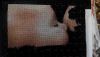 2016306190623.thumb.jpg.573a8603f8d7ad46
