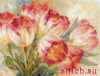 25956.thumb.jpg.3dbe18dc8a90c24d919d78d9