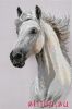 26853.thumb.jpg.35825adbc6ee4772fde97720
