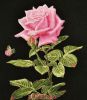30753.thumb.jpg.80fb370a6c887dc574d09087
