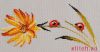 31901.thumb.jpg.d853a155d7b8529b71072653