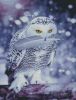 402728-dcfb9-93718824-m750x740-uf9472.th