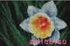 4060.thumb.jpg.259a49c0d2fa309bc3ce34c1e