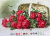 5.thumb.JPG.380ca2cc41293c51fb1efde92f9e
