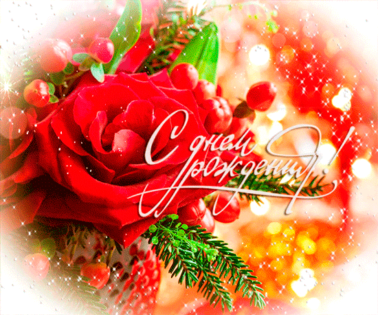 5583319.thumb.gif.1b6c66809b6461fe0ae22f