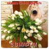 56d7f2334cbb7_.thumb.JPG.55f19ff615c0d29