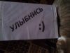 56d863f69f78b_.thumb.jpg.51b917bccc67a06