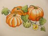 DSCN8352 (800x600).jpg