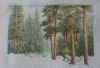 56dc2afe5cc02_1006.03.2016.thumb.jpg.e50