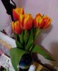 56dd34d7911ef_2016-03-0522-17-27.thumb.J