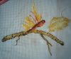 IMG_20160307_110047~3.jpg