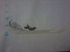 56dd7ea8ba044_-0167.thumb.jpg.0b6b248dfc