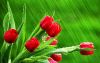 56e388e7bfb7b_8_036.thumb.jpg.b586260825