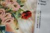 56e582bd8b9a1_Butterfly-264-2-2.thumb.JP